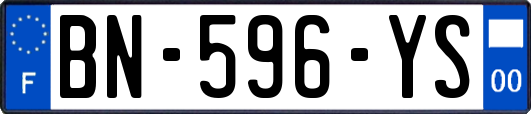 BN-596-YS