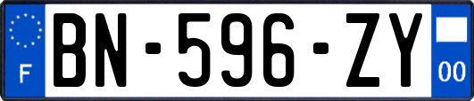 BN-596-ZY