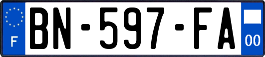 BN-597-FA