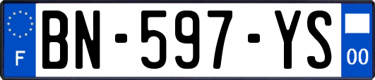 BN-597-YS