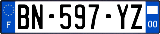 BN-597-YZ