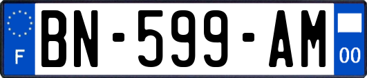 BN-599-AM