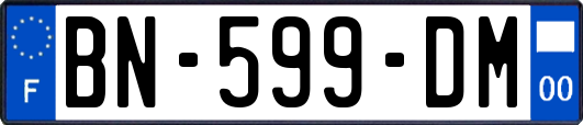 BN-599-DM