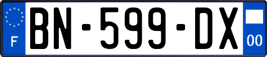 BN-599-DX