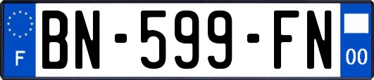 BN-599-FN