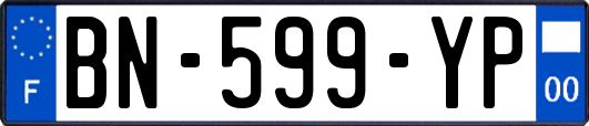 BN-599-YP