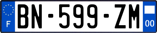 BN-599-ZM