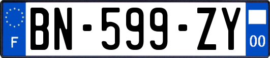 BN-599-ZY