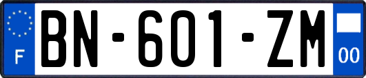 BN-601-ZM