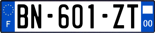 BN-601-ZT