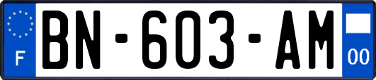 BN-603-AM