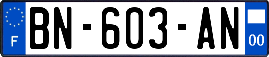 BN-603-AN