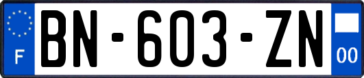 BN-603-ZN