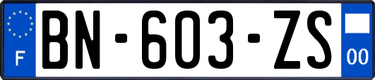 BN-603-ZS