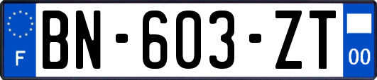 BN-603-ZT