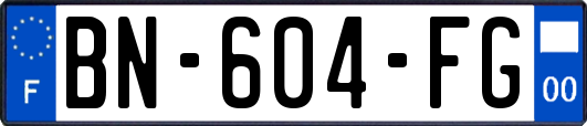 BN-604-FG
