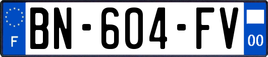 BN-604-FV