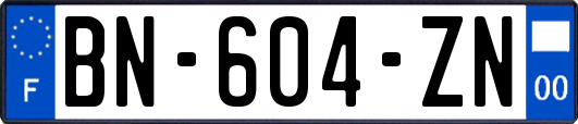 BN-604-ZN