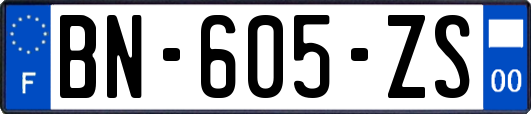 BN-605-ZS