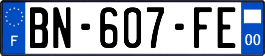 BN-607-FE