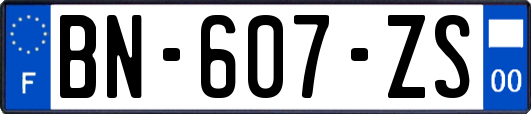 BN-607-ZS