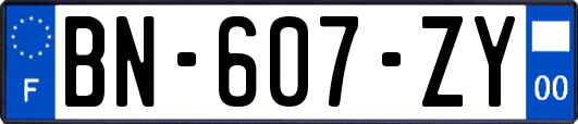 BN-607-ZY