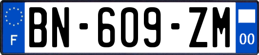 BN-609-ZM