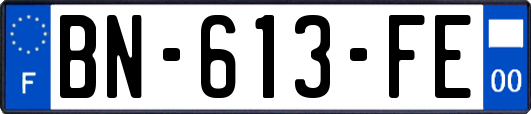BN-613-FE