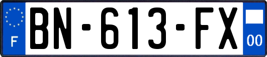 BN-613-FX