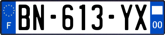 BN-613-YX