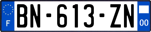 BN-613-ZN