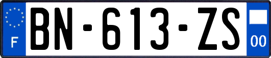 BN-613-ZS