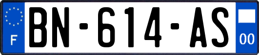 BN-614-AS