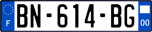 BN-614-BG