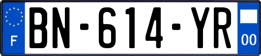 BN-614-YR