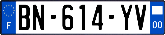 BN-614-YV