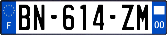 BN-614-ZM