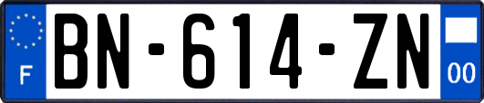 BN-614-ZN