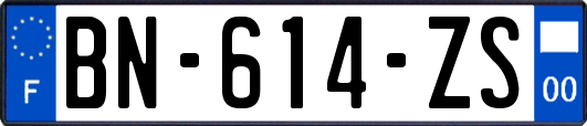 BN-614-ZS