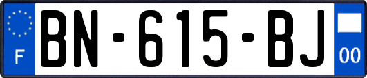 BN-615-BJ