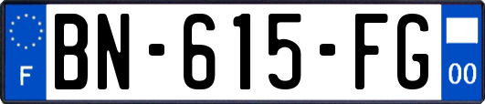 BN-615-FG