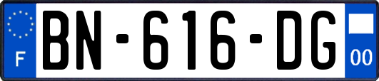 BN-616-DG