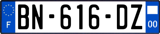 BN-616-DZ