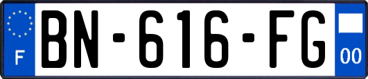 BN-616-FG