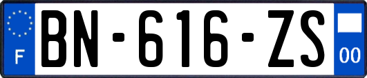 BN-616-ZS