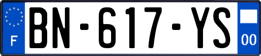 BN-617-YS