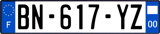 BN-617-YZ