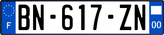 BN-617-ZN