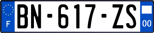 BN-617-ZS