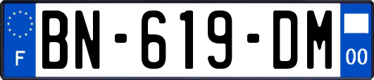 BN-619-DM